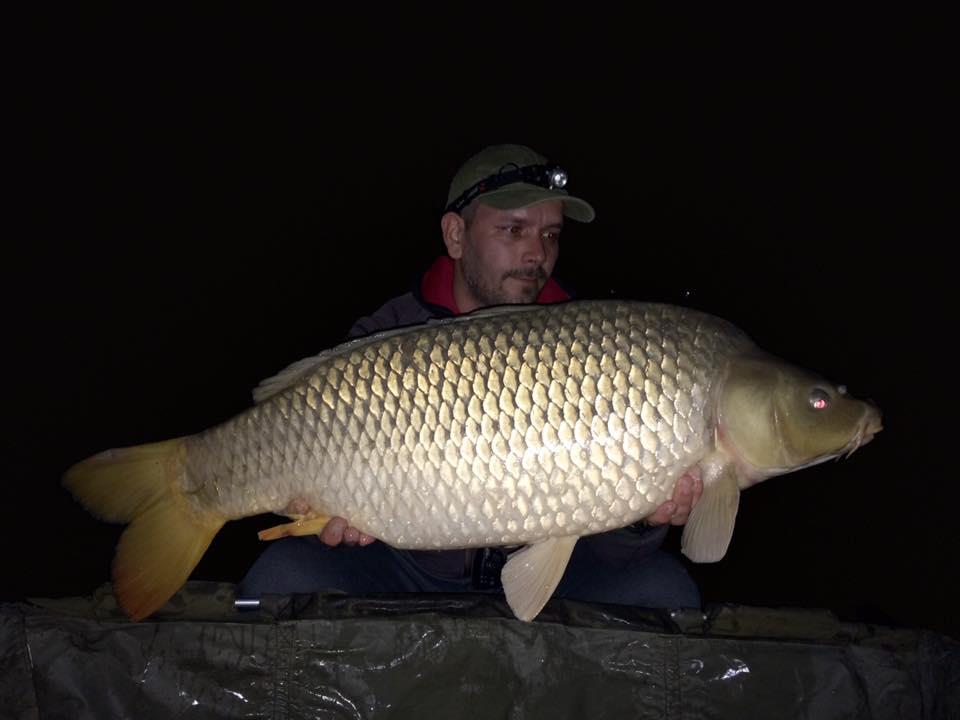 capturi 2016 - 129908712040336299759683112450591225907061n.jpg